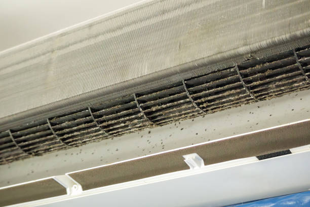 Best Air Duct Cleaning Near Me  in Schnecksville, PA